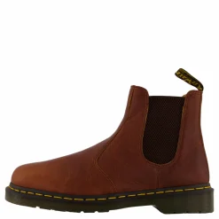 2976 Cashew Ambassador
