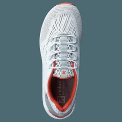 40403 Grey