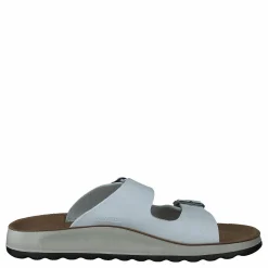 484-7764 White