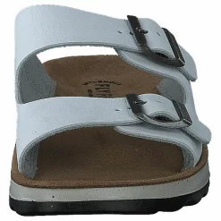 484-7764 White