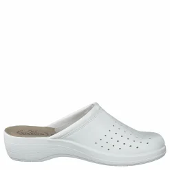 484-0523 White