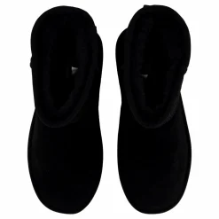 Ally W Black