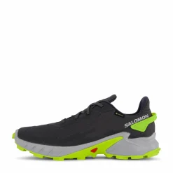 Alphacross 4 Gtx Ebony/pearl Blue/acid Lime