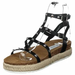 Array Black