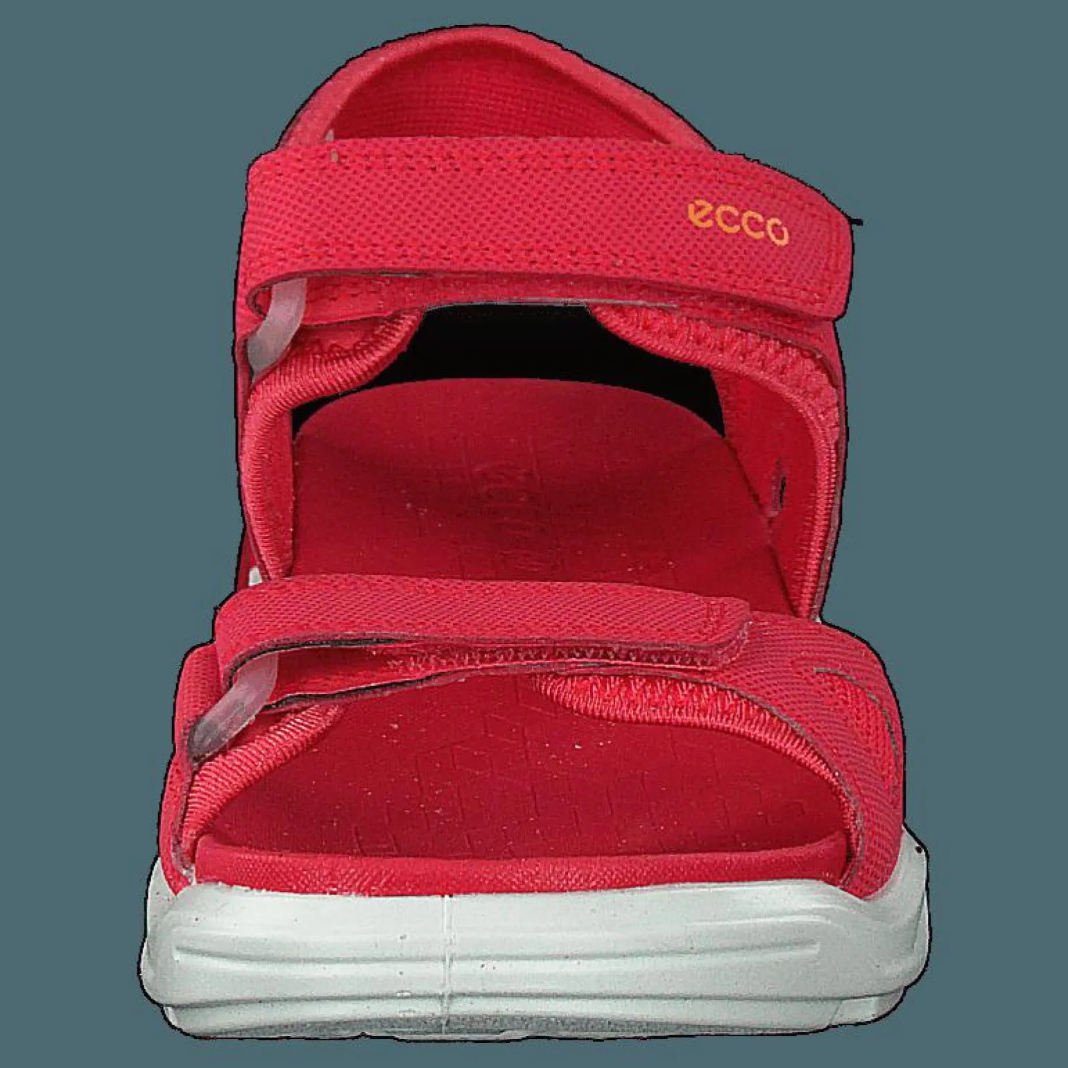 Biom Raft Teaberry
