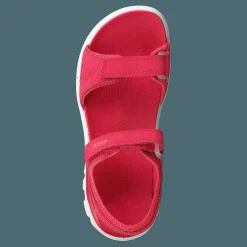 Biom Raft Teaberry