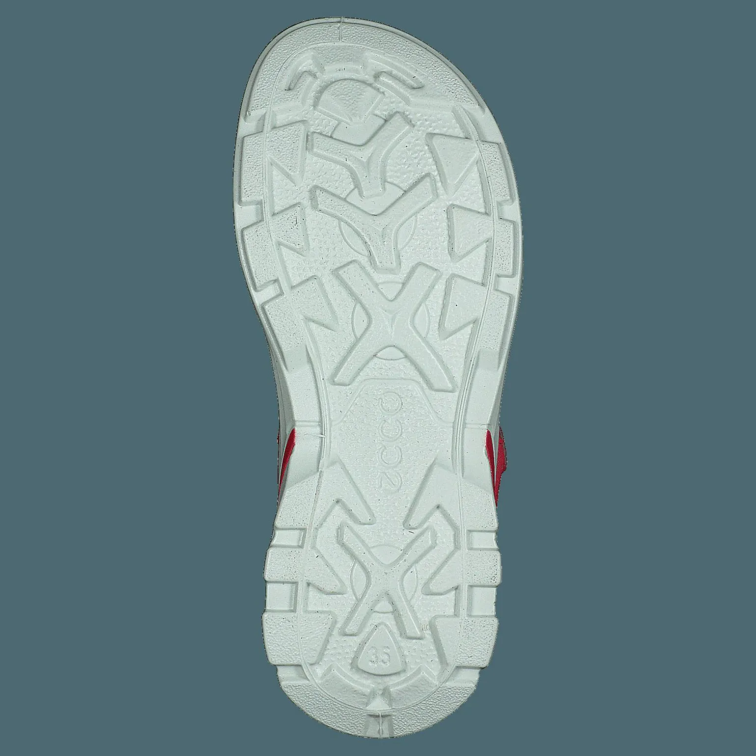Biom Raft Teaberry