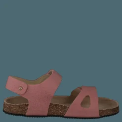 Bomhus Ep Ash Rose