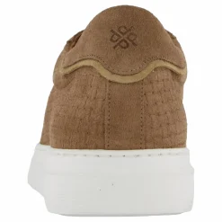 Brian Taupe