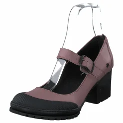 Camden Malva