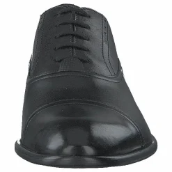 Circass Black
