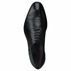 Circass Black