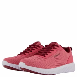 Credo Iowa Fuchsia