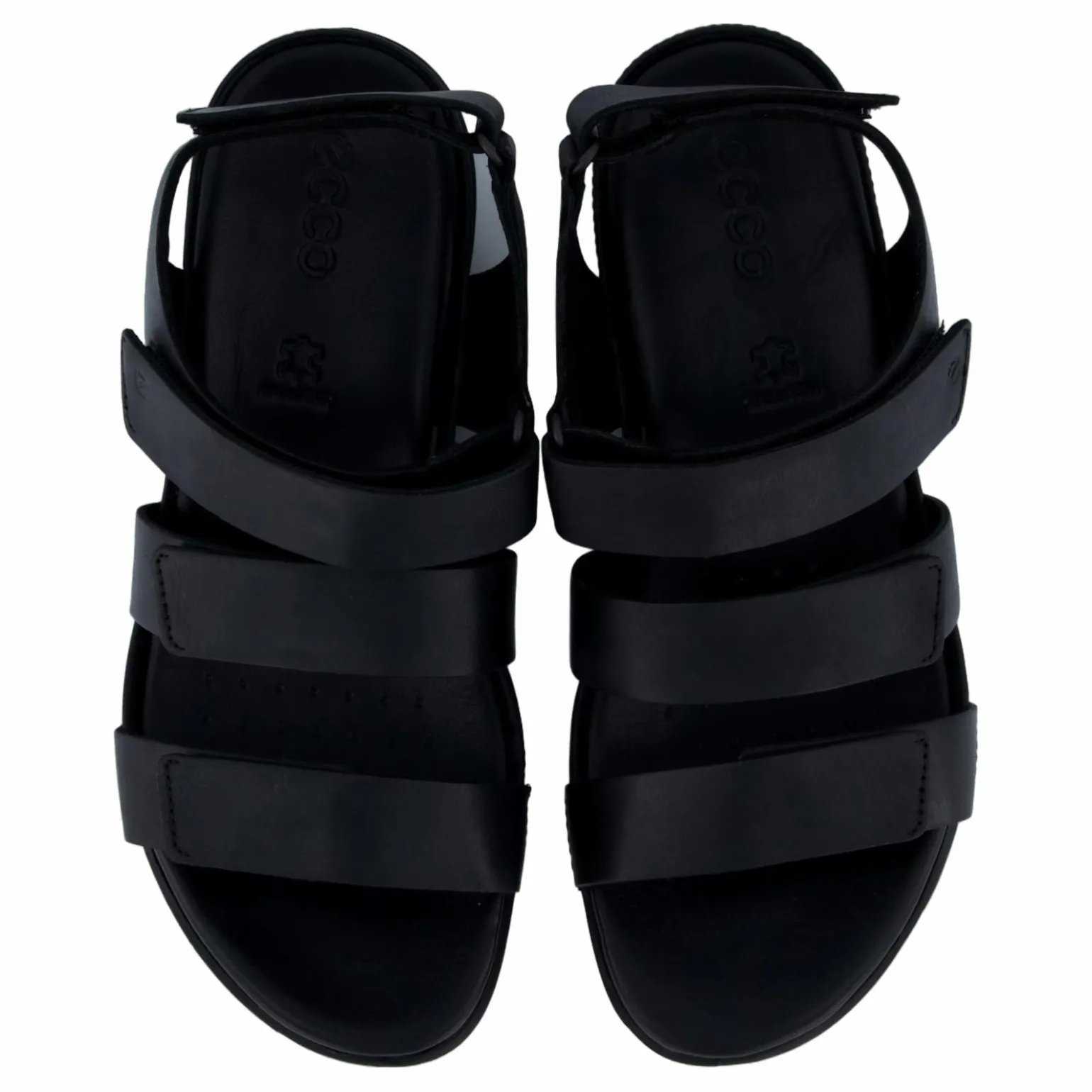 Ecco Flash Black