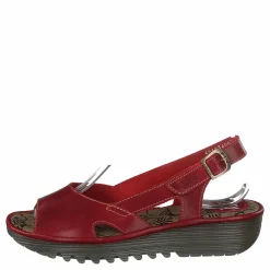 Edon034 Bridle Red