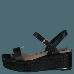 Eloiniel Black