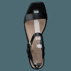 Eloiniel Black
