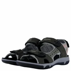 Hills Anthracite