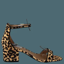 Irenee-l Leopard