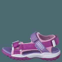 J Borealis G Purple/pink