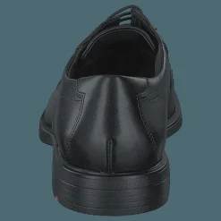 Kentucky Black