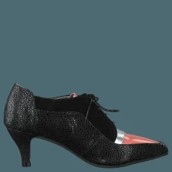 Kitten Black