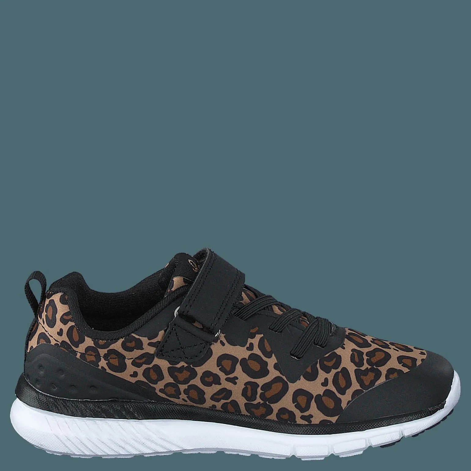 Kolima Leopard