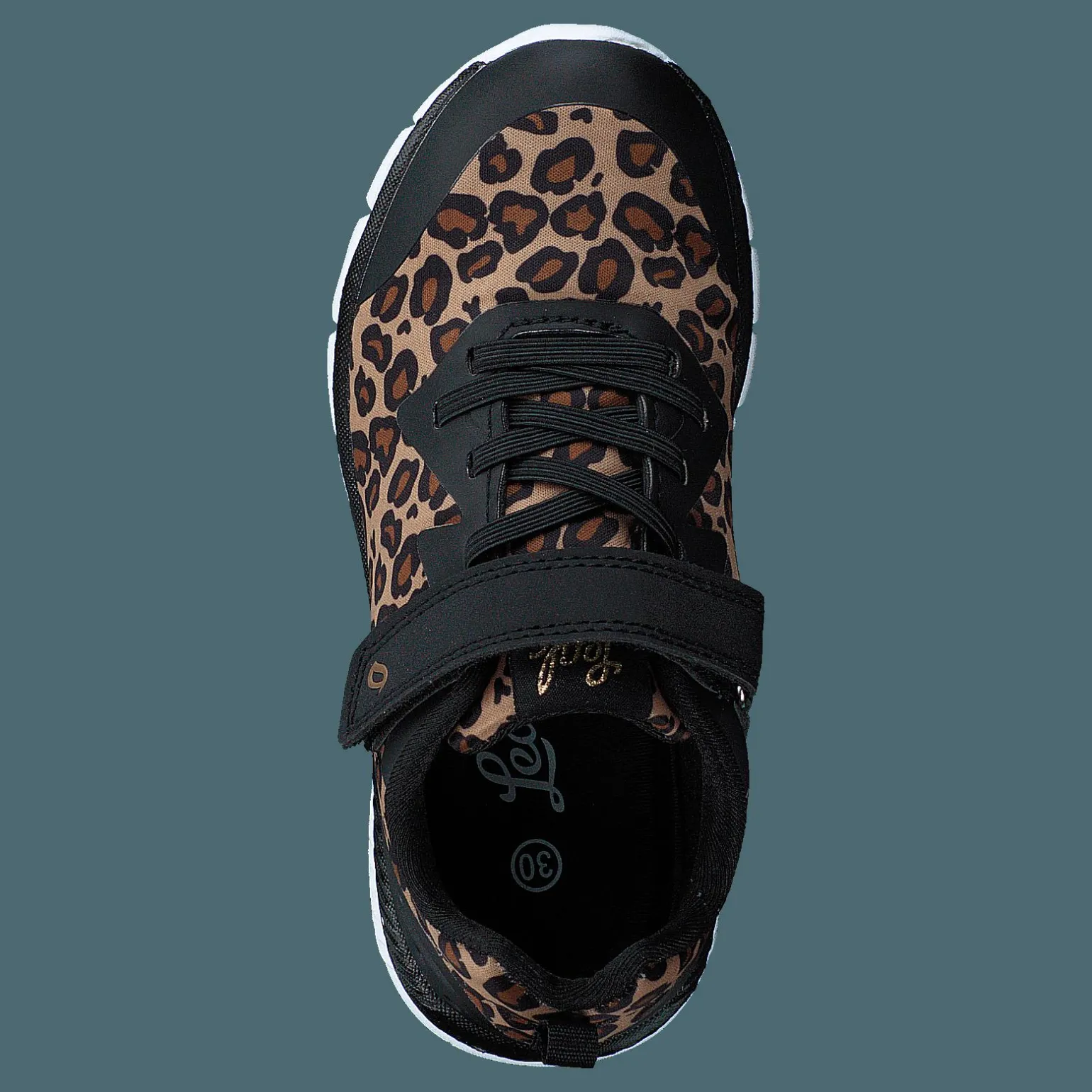Kolima Leopard