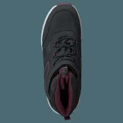 Lavia Blacklilac
