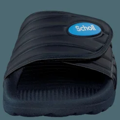 Nautilus