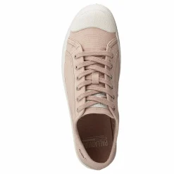 Pallaphoenix Og Cvs Rose Dust