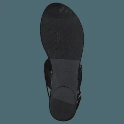 Pandra Black