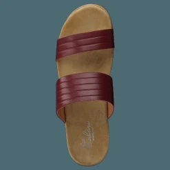 Randi Winered