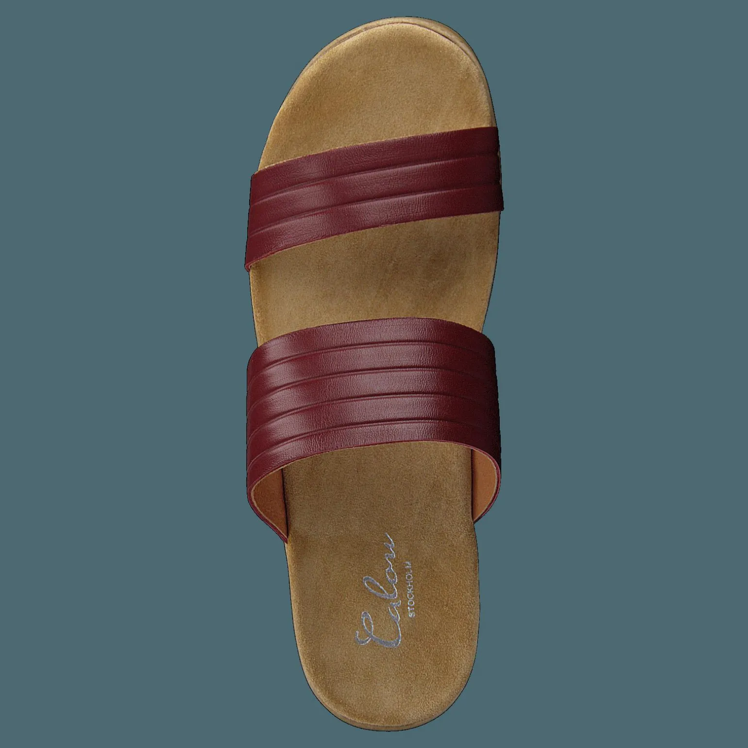 Randi Winered