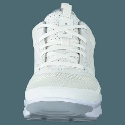 Ready White