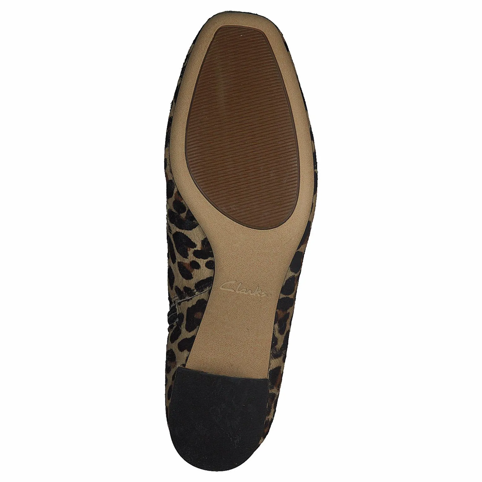 Sheer Flora Leopard Print