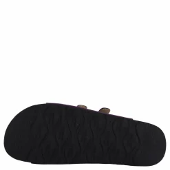 Shell Purple Heart