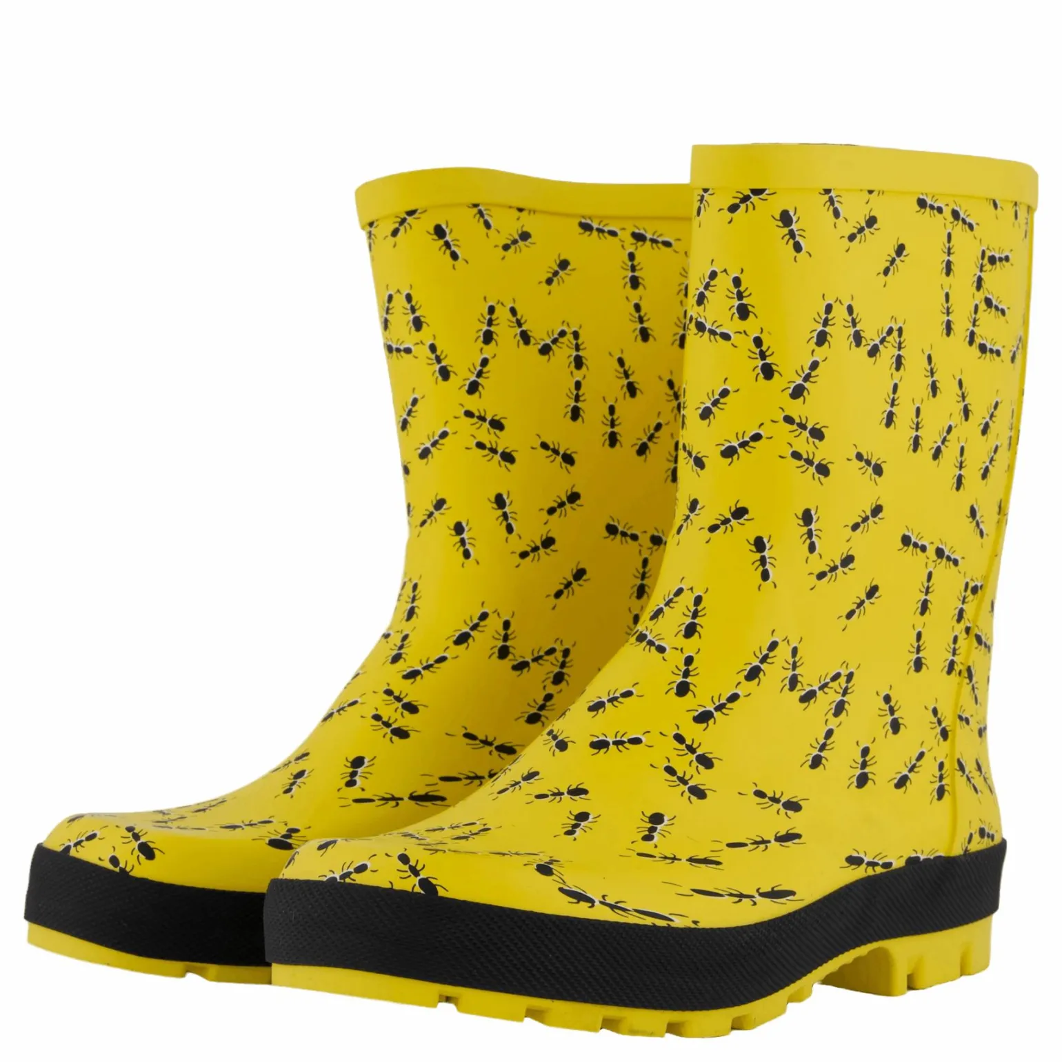 Splash Yellow Ants