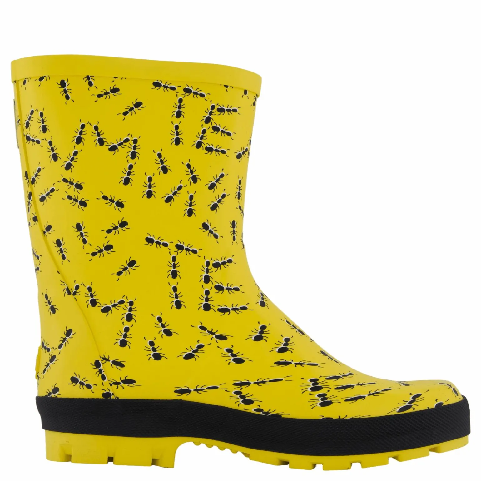 Splash Yellow Ants