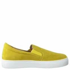 Starlily Yellow