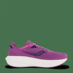Triumph 21 Grape/indigo
