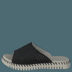 Tulip1375 Black