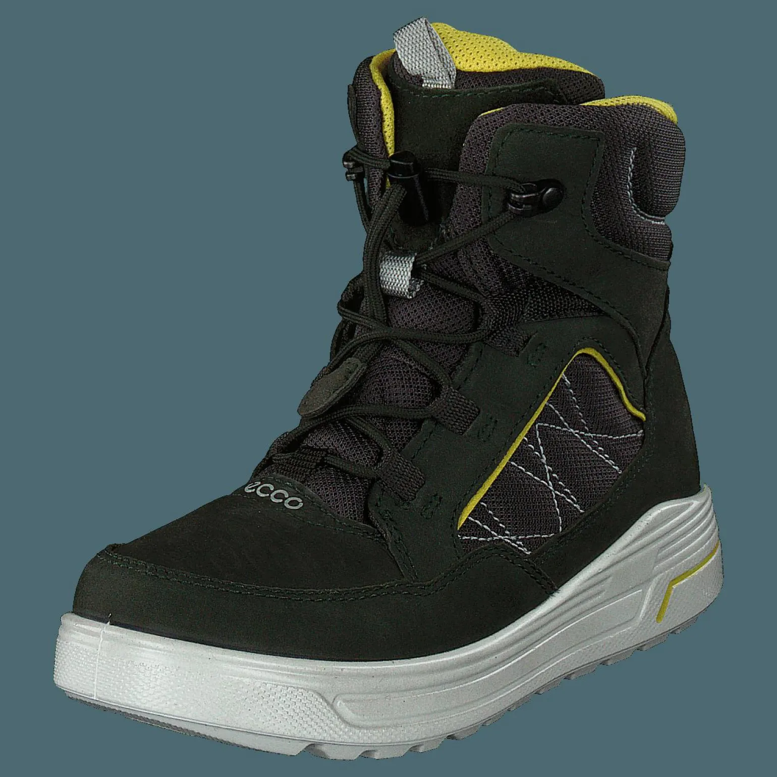 Urban Snowboarder Deep Forest