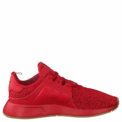 X_plr Scarle/scarle/gum3
